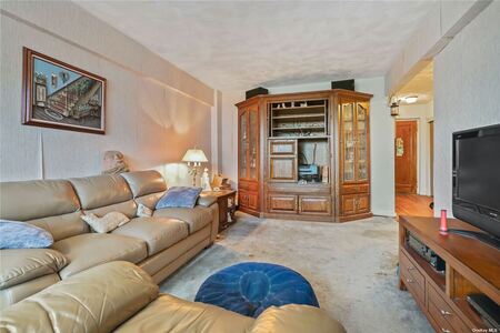 imageedit_136_6385431626