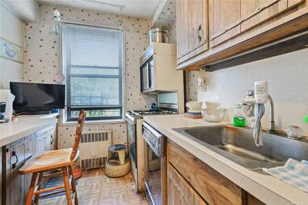 imageedit_146_2626035590