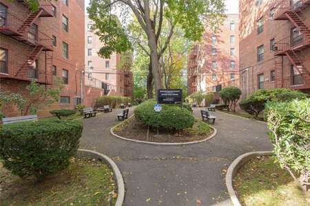 imageedit_51_6862606098