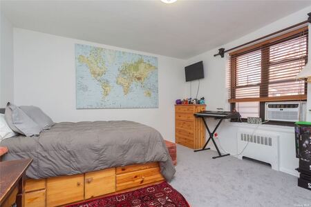 imageedit_61_3540896112